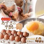 純 鶏あずさの平飼い卵 40個