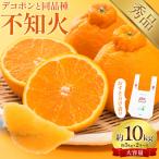 不知火 計10kg