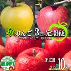 旬のりんご 10kg