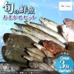 鮮度抜群 お魚おまかせ食べきり3種パック×1セット