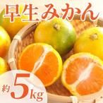 令和8年熊本地震復興支援 早生みかん 約5kg