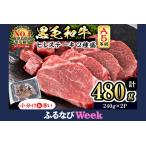 ふるさと納税 【ふるなびWEEK対象】【小分け】＜A5等級＞鹿児島県産黒毛和牛 ヒレステーキ2種盛(240g×2パック/計480g) 肉 牛肉 鹿児島.. 鹿児島県志布志市