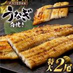 うなぎ 白焼き 特大2尾 350g以上