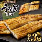 うなぎ 白焼き 特大3尾 525g以上