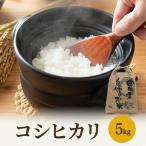 コシヒカリ5kg 米 お米 こしひかり
