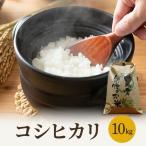 コシヒカリ 10kg