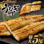 うなぎ 白焼き 特大5尾 875g以上