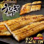 三河高浜産三代目養鰻家の白焼きうなぎ