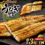 三河高浜産三代目養鰻家の白焼きうなぎ