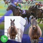 クリアファイル 写真5枚入り BRTV303