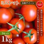 ミニトマト 小鈴クイーン 1kg 3セット