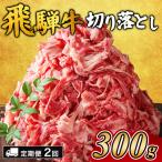 飛騨牛切り落とし 300g