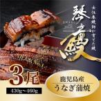 うなぎ 蒲焼き 3尾