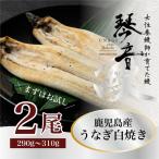 うなぎ 白焼き 2尾