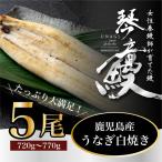 うなぎ 蒲焼き 5尾