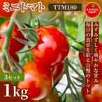 ミニトマト TTM180 1kg 3セット
