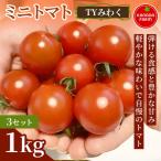 ミニトマト TYみわく 1kg 3セット