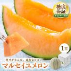 マルセイユメロン 赤肉 1玉