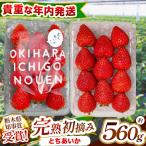 貴重な 新定番 初摘み とちあいか 280g×2P