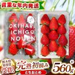 貴重な 元祖 初摘み とちおとめ 280g×2P
