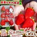 貴重な 大粒 初摘み スカイベリー 280g×2P