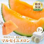 マルセイユメロン 赤肉 2玉