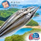 瀬戸内 海 サヨリ 丸干し 600 g 赤穂の塩