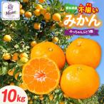 不揃いみかん 10kg×1箱│フルーツ