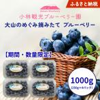だいせんのめぐみ摘みたてブルーベリー 1kg