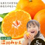 みかん 温州 約5kg