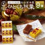 岩谷堂羊羹 ひとくち純栗 9個