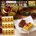 岩谷堂羊羹 ひとくち純栗 12個