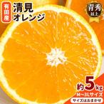 オレンジ 濃厚 清見オレンジ 約5kg