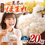 R7年産 玉名のほまれ 20kg