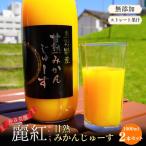 みかんジュース 麗紅 甘熟 みかんじゅーす 1L×2本