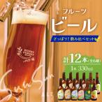 極上 本土最南端のクラフトビール 飲み比べ6種12本セット