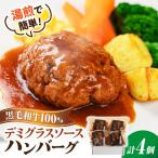 黒毛和牛100%デミグラスソースハンバーグ 計4個