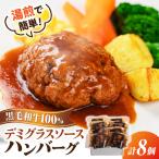 黒毛和牛100%デミグラスソースハンバーグ 計8個