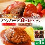 黒毛和牛100%ハンバーグ食べ比べセット