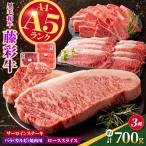 くまもと黒毛和牛 藤彩牛 サーロインステーキと2種の食べ比…