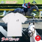 Tシャツ 4サイズ BRTV400-2