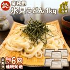 業務用 氷見うどん 1kg