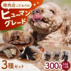 牛肉ジャーキー 3種セット 各100g