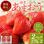 あまおう 箱 ふくや味の明太子セット あまおう9-15粒+明太…