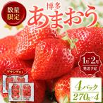 産苺 あまおう グランデ以上 計約1080g