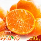 極早生みかん10kg 高橋商店