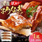 鰻 100g×1尾