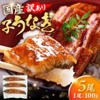 鰻 100g×5尾
