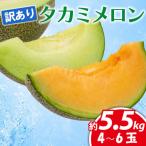 訳あり タカミメロン 青肉 赤肉 飯岡メロン