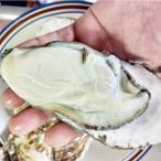 松島牡蠣屋 殻付き牡蠣 生食用 8kg